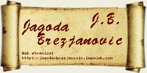 Jagoda Brezjanović vizit kartica